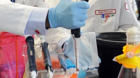 Cient&iacute;ficos en un laboratorio