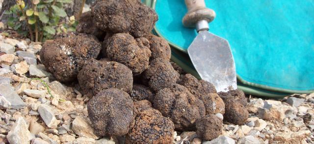 Aquí en la Onda La Rioja 13/06/2018 Aquí en la Onda La Rioja 13/06/2018