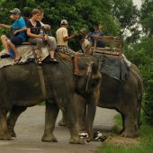Turismo con animales en Tailandia