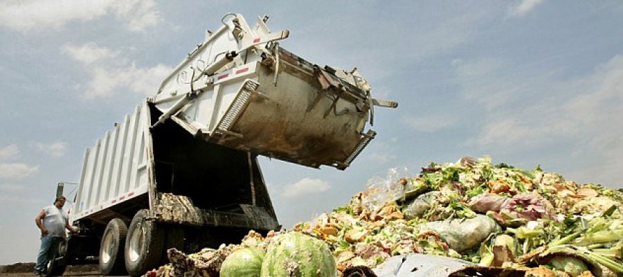 Comida en la basura Comida en la basura