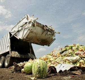 Comida en la basura Comida en la basura