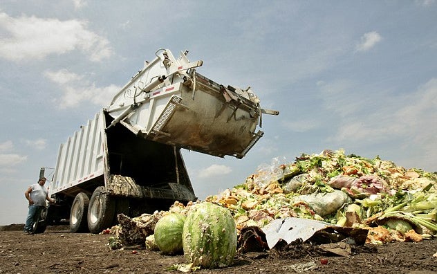 Señales del fin del mundo: Comida en la basura Señales del fin del mundo: Comida en la basura