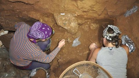Hallan una mand&iacute;bula y un h&uacute;mero de un ni&ntilde;o neandertal 
