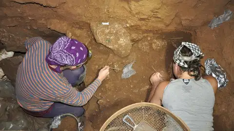 Hallan una mandíbula y un húmero de un niño neandertal Hallan una mandíbula y un húmero de un niño neandertal