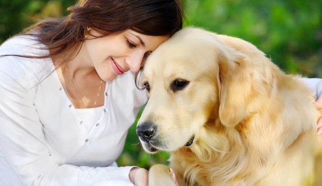 El Gabinete: ¿Cómo nos enfrentamos a la muerte de nuestro animal de compañía? El Gabinete: ¿Cómo nos enfrentamos a la muerte de nuestro animal de compañía?