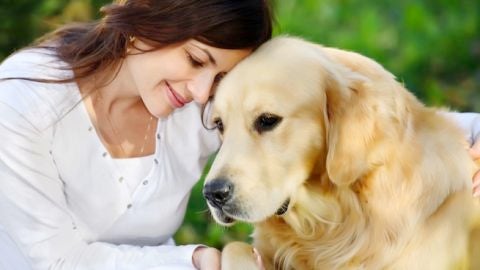 Perro y su due&ntilde;o