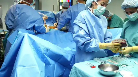 Transplantes hepáticos en Navarra Transplantes hepáticos en Navarra