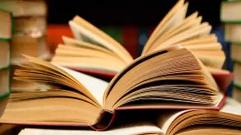 Día del Libro Día del Libro