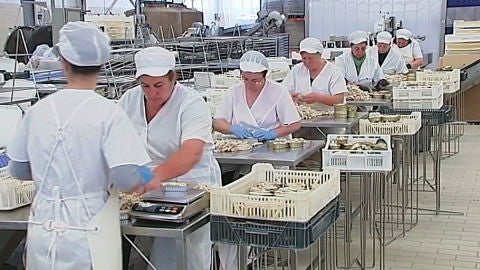 F&aacute;brica de conservas en Espa&ntilde;a