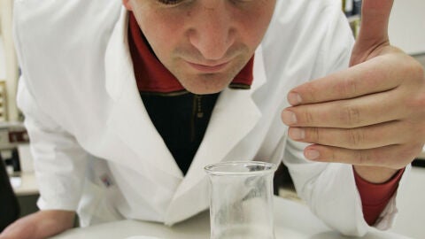 Una dieta rica en grasas puede hacerte perder el olfato