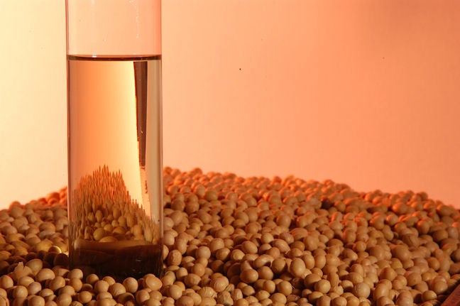 Azul y verde: Nuevas medidas sobre los biocombustibles avanzados Azul y verde: Nuevas medidas sobre los biocombustibles avanzados