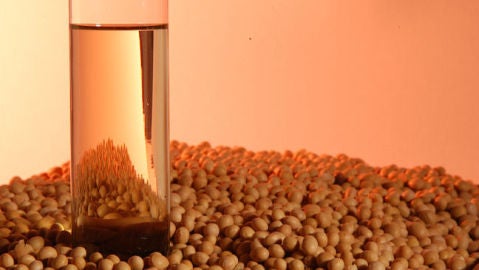 Biocombustible