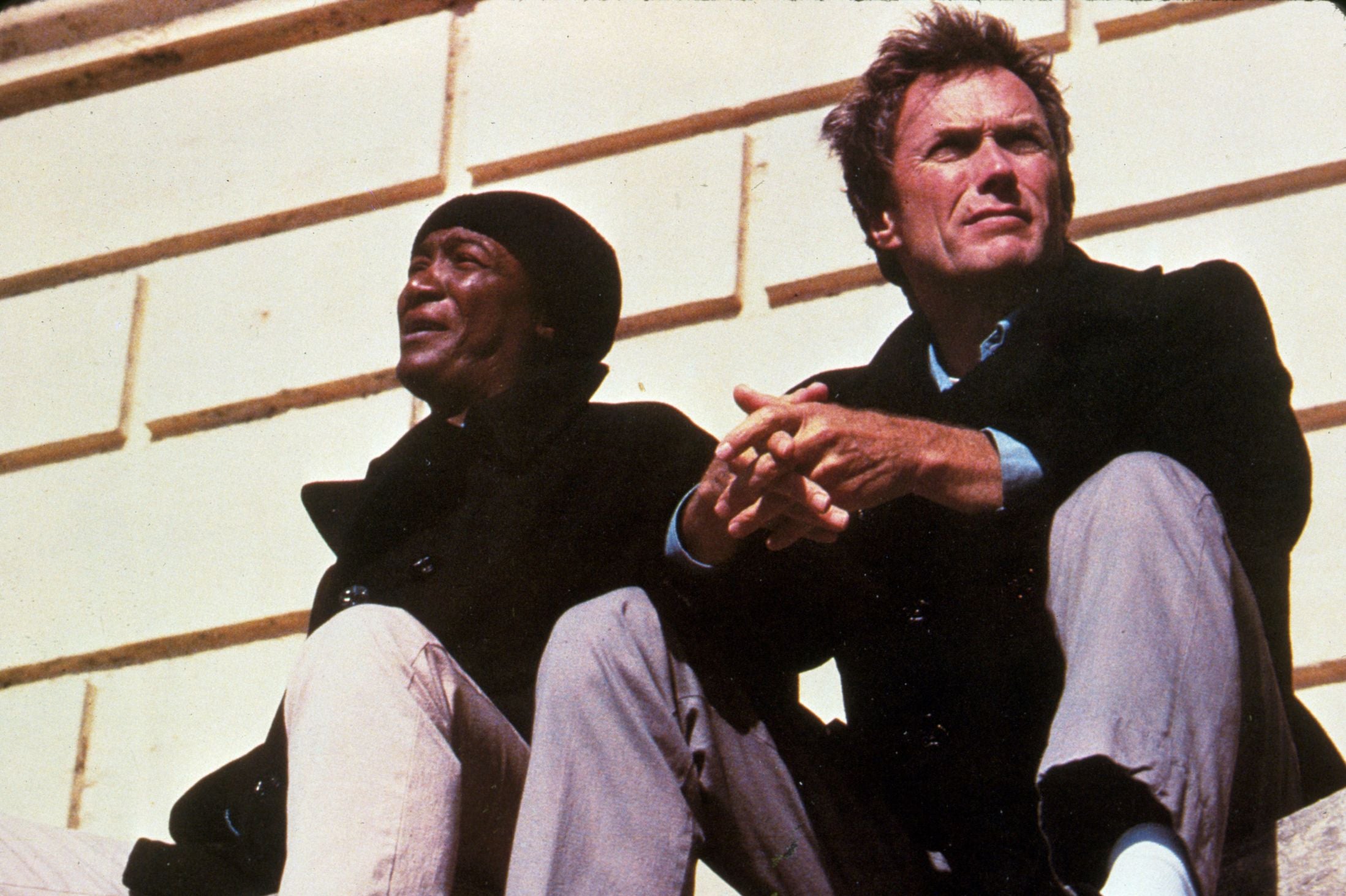 Mascotas de cine Mascotas de cine