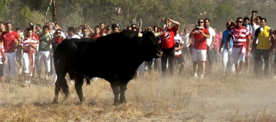 Imagen de 'El Toro de la Vega' Imagen de 'El Toro de la Vega'