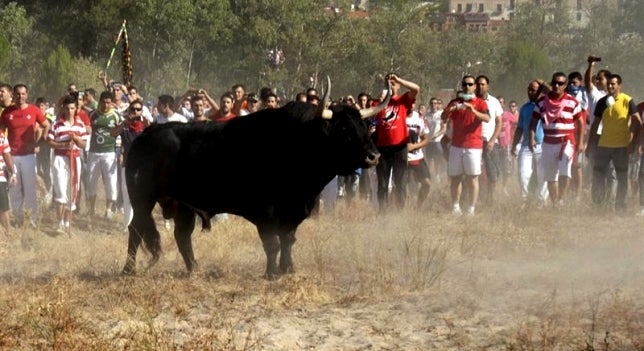 Tordesillas celebra mañana sus primeras fiestas sin Toro de la Vega Tordesillas celebra mañana sus primeras fiestas sin Toro de la Vega