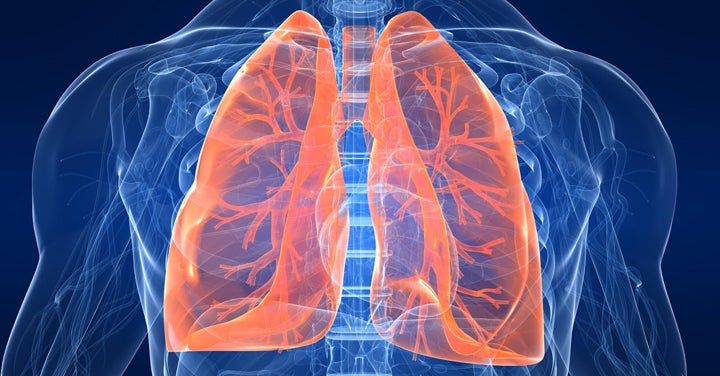 Fronteras del futuro: Nanopartículas para tratar la fibrosis pulmonar Fronteras del futuro: Nanopartículas para tratar la fibrosis pulmonar