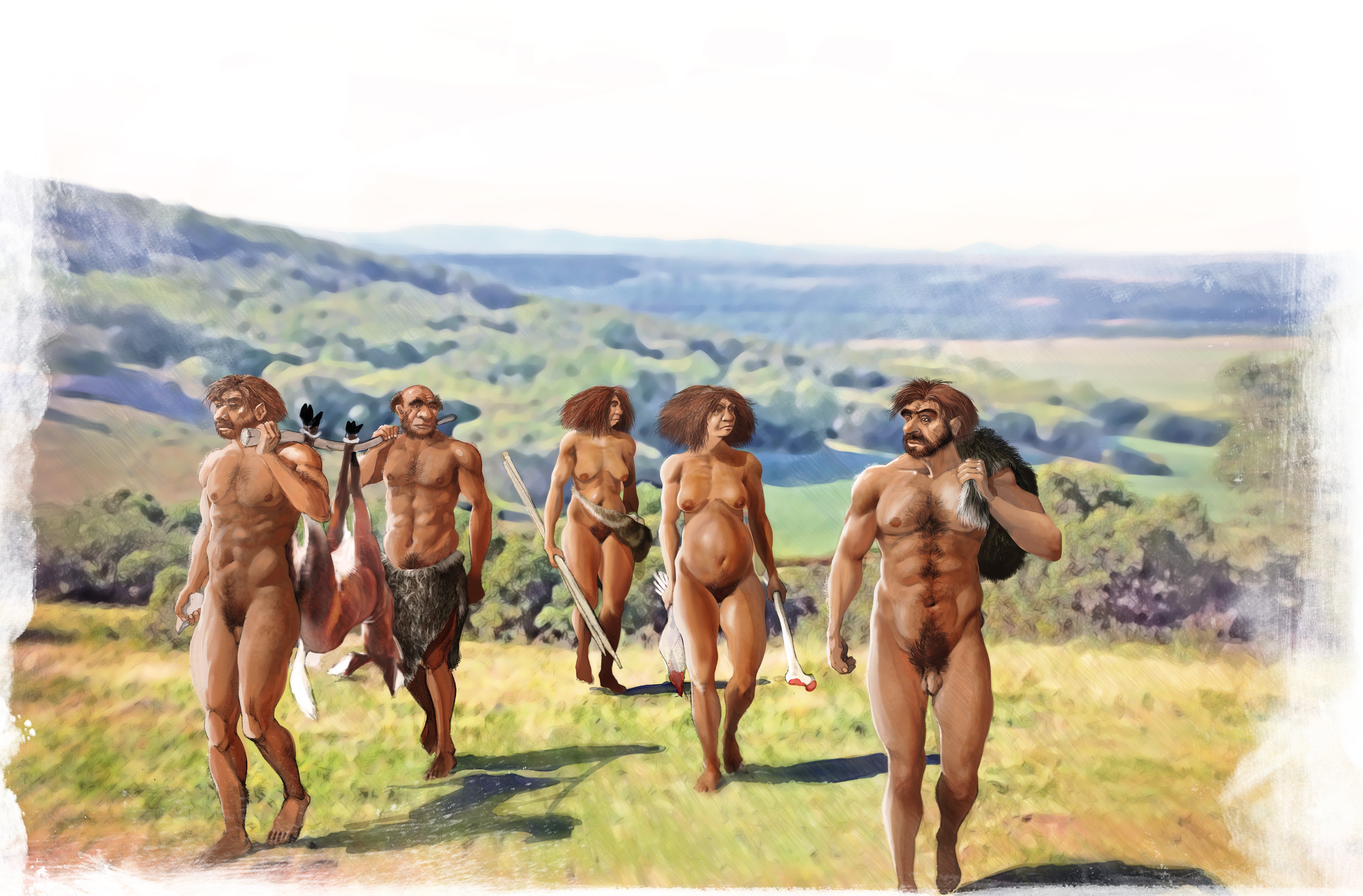 Azul y Verde: ¿Qué comían en Atapuerca? Azul y Verde: ¿Qué comían en Atapuerca?