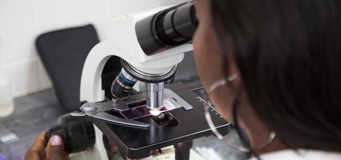 Paraguay se convierte en el primer país libre de malaria de las Américas después de Cuba Paraguay se convierte en el primer país libre de malaria de las Américas después de Cuba