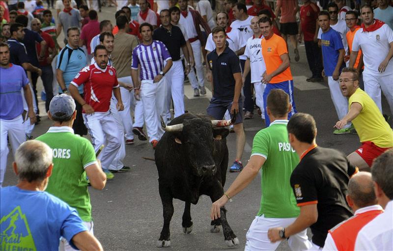Muere un joven corneado por un toro en un encierro de un pueblo Valladolid Muere un joven corneado por un toro en un encierro de un pueblo Valladolid
