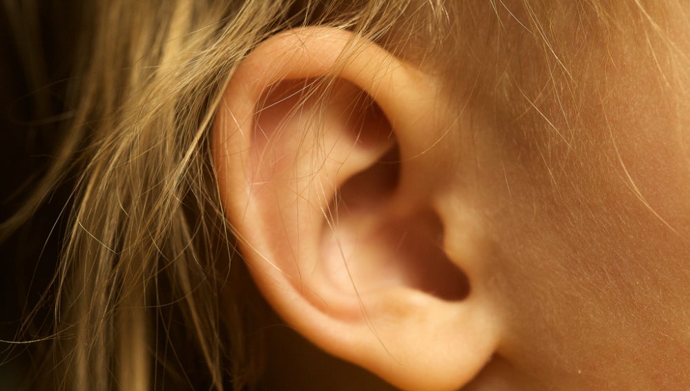 Sentidos extremos del mundo animal: El oído | Onda Cero Radio