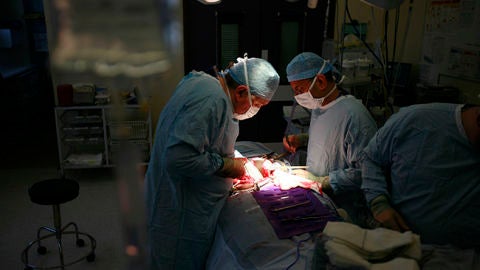 Operaci&oacute;n quir&uacute;rgica.