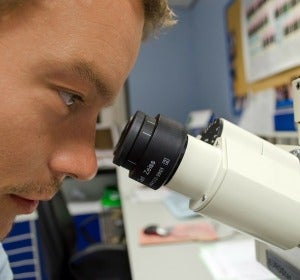Un científico mira en un microscopio Un científico mira en un microscopio