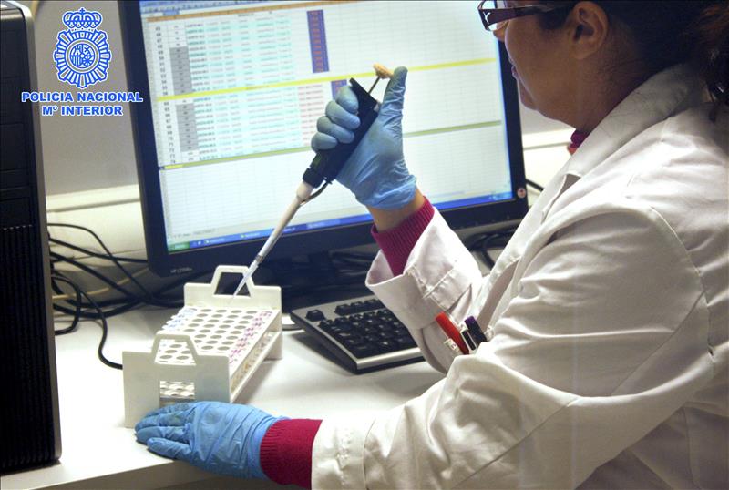 La genética forense, clave en la resolución de un crimen La genética forense, clave en la resolución de un crimen