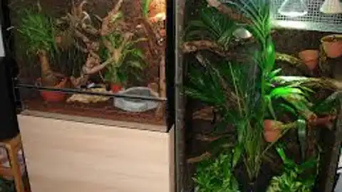 Terrario Terrario