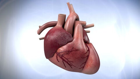 Coraz&oacute;n