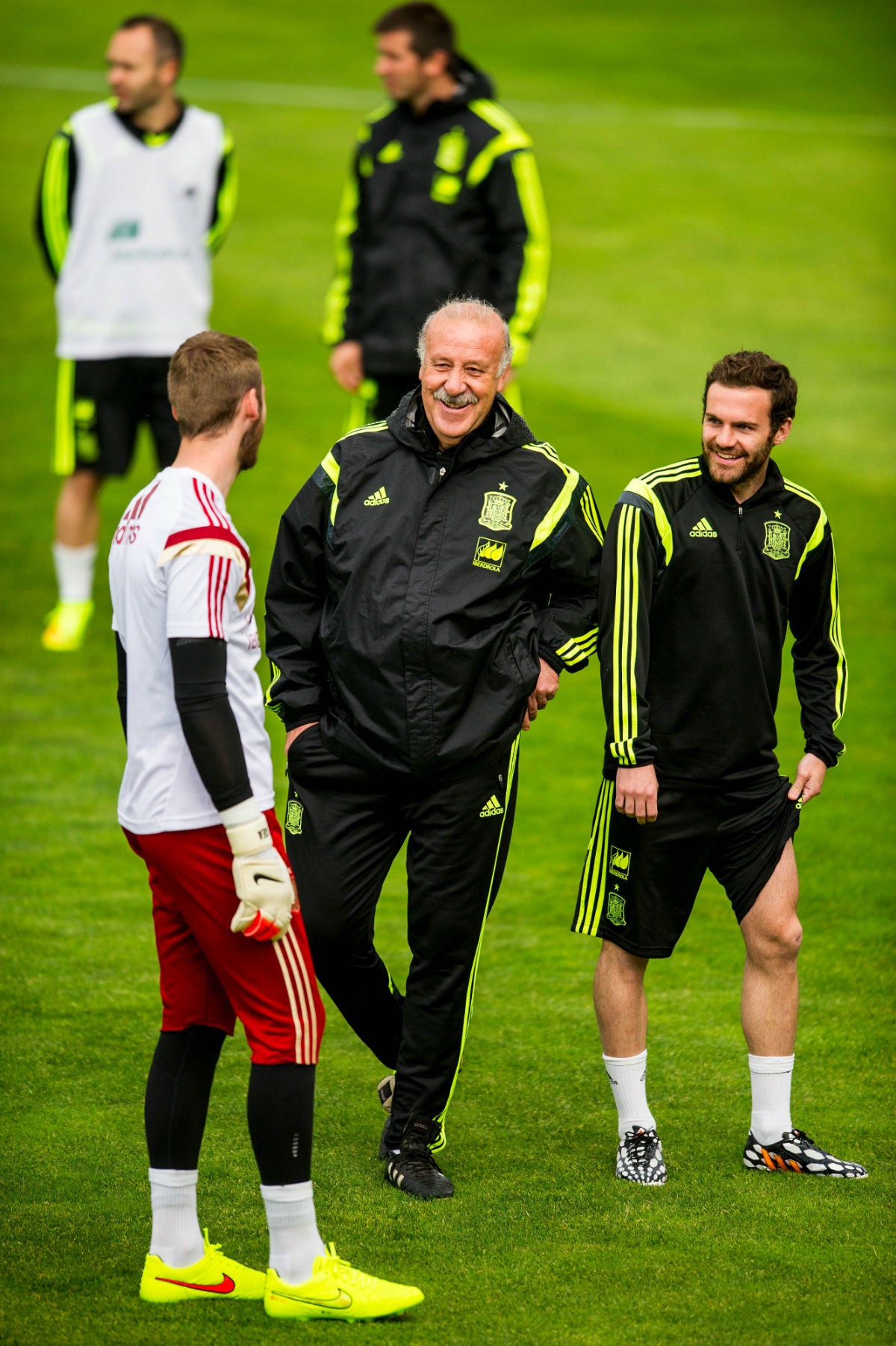 Del Bosque evita hablar de su futuro: "Quedan ocho meses para la Eurocopa, mucho tiempo" Del Bosque evita hablar de su futuro: "Quedan ocho meses para la Eurocopa, mucho tiempo"