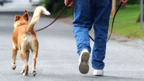 Paseando perro Paseando perro