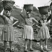Imagen de la exposición “La dura infancia. Fotografía y trabajo infantil en Asturias”