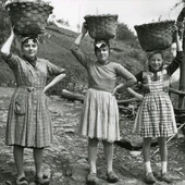 Imagen de la exposición “La dura infancia. Fotografía y trabajo infantil en Asturias” Imagen de la exposición “La dura infancia. Fotografía y trabajo infantil en Asturias”