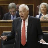 El ministro de Asuntos Exteriores, José Manuel García-Margallo en el Congreso