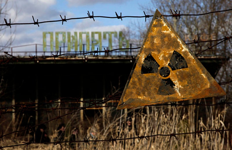 Chernobil 30 años después: vida salvaje más fuerte que nunca Chernobil 30 años después: vida salvaje más fuerte que nunca
