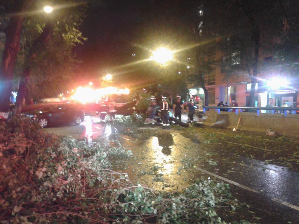 La caída de un árbol sobre tres vehículos hiere a una mujer en Madrid La caída de un árbol sobre tres vehículos hiere a una mujer en Madrid