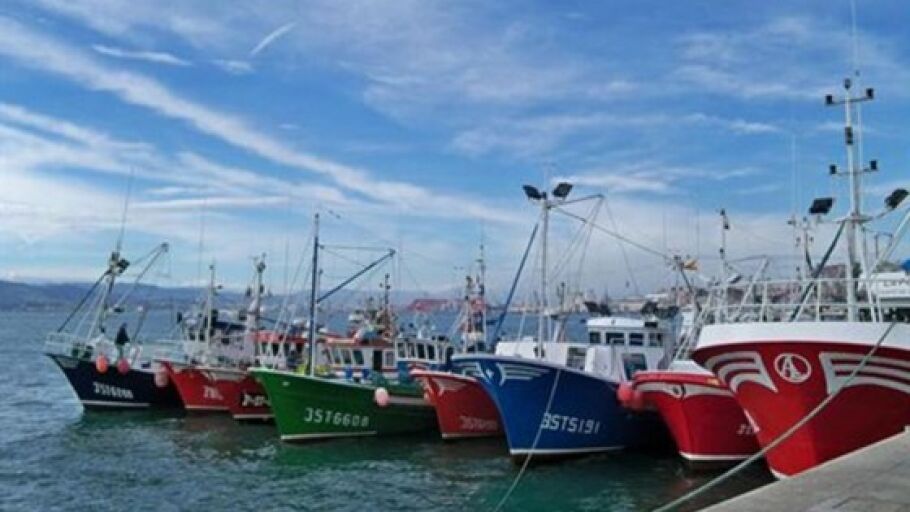 Barcos pesqueros