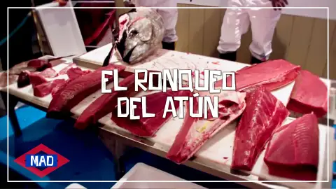 El Ronqueo del atún De restaurantes por Madrid