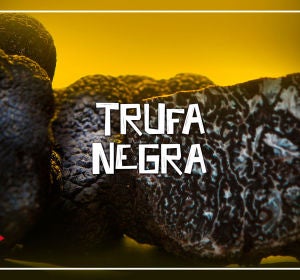 Trufa Negra Trufa Negra