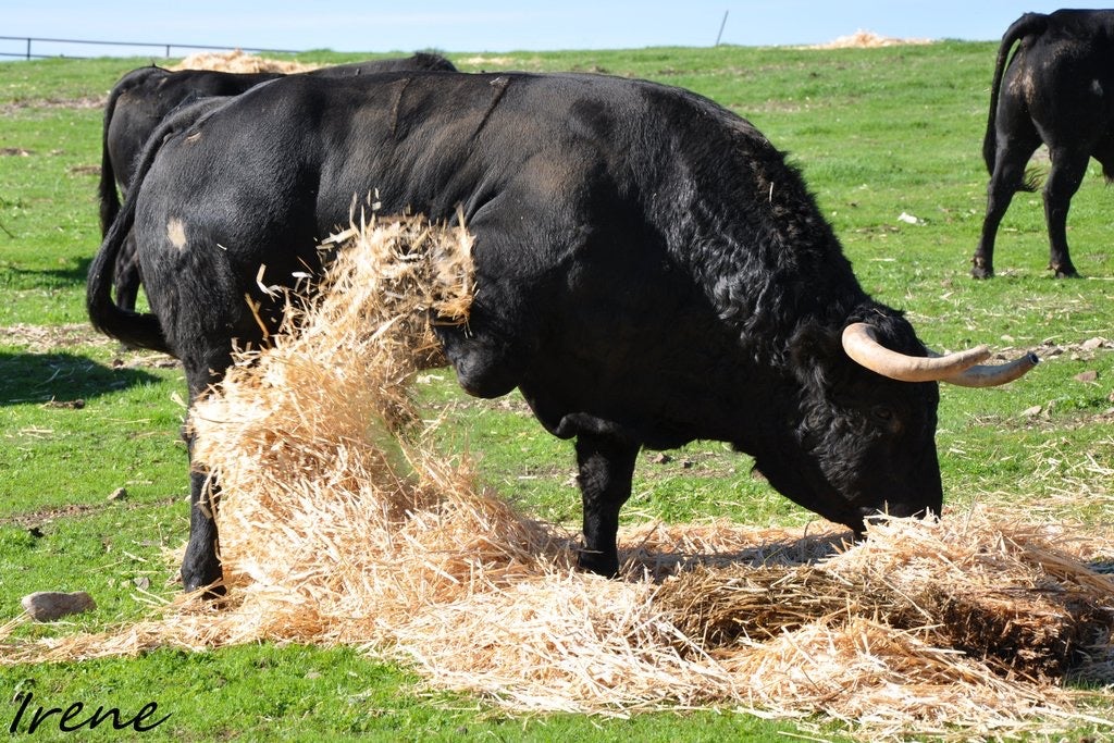 Aquí en la Onda. "Va por ustedes". 10/11/2015 Aquí en la Onda. "Va por ustedes". 10/11/2015