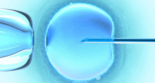 Holanda quiere un registro para evitar casos como el del donante de esperma que tuvo 102 hijos Holanda quiere un registro para evitar casos como el del donante de esperma que tuvo 102 hijos