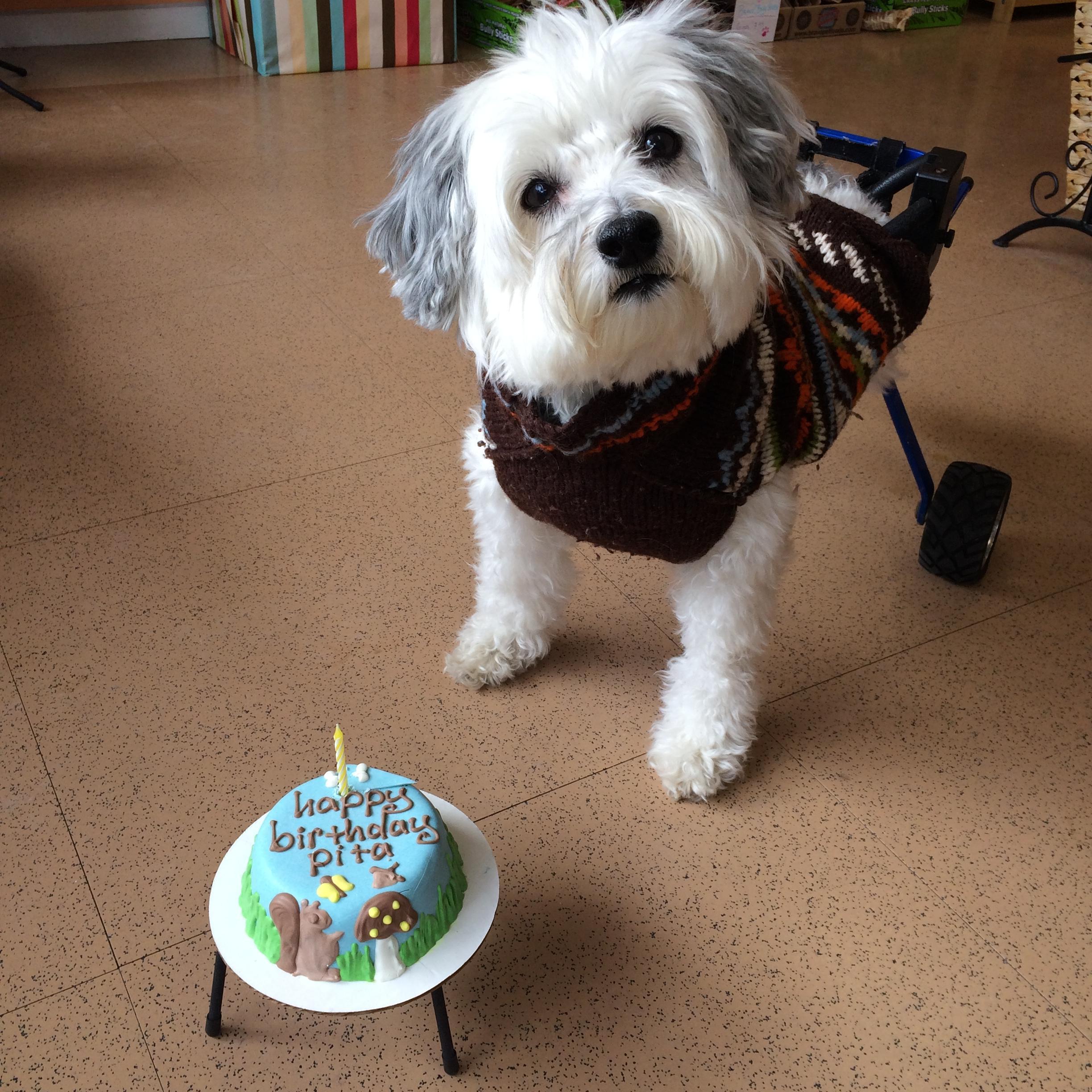 Feliz cumpleaños Melón Feliz cumpleaños Melón