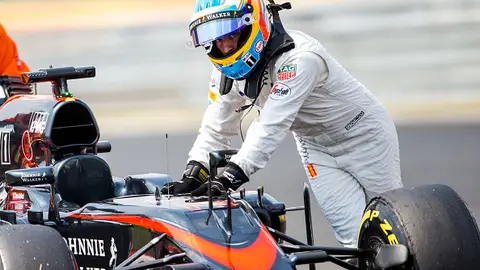 Fernando Alonso Fernando Alonso