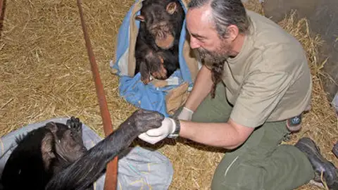 Guillermo Bustelo Guillermo Bustelo