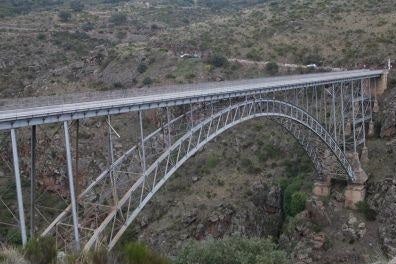 Rescatado el cadáver de un perro colgado del Puente Pino en Zamora Rescatado el cadáver de un perro colgado del Puente Pino en Zamora