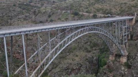 Cadaver de perro colgado del Puente Pino