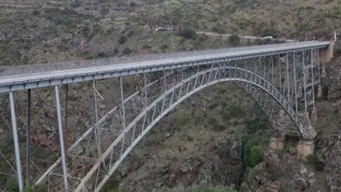 Cadaver de perro colgado del Puente Pino Cadaver de perro colgado del Puente Pino