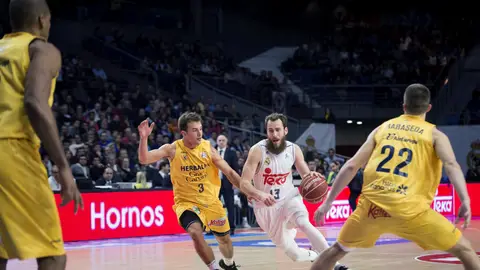 Sergio Rodríguez entra a canasta Sergio Rodríguez entra a canasta