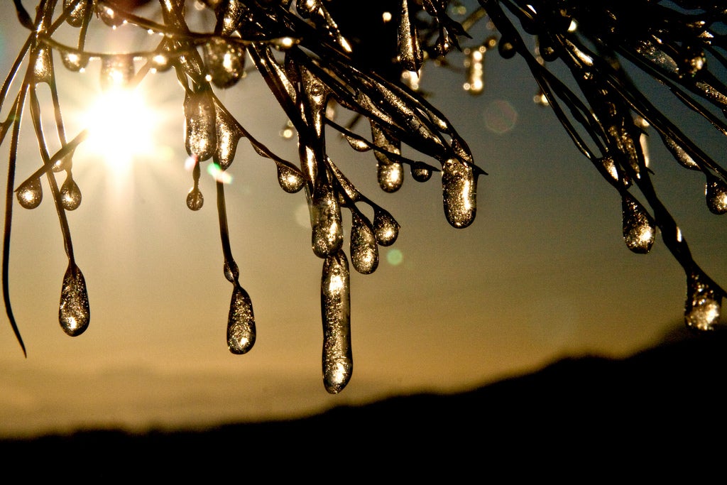 El invierno será cálido en toda España y lluvioso en el noroeste peninsular El invierno será cálido en toda España y lluvioso en el noroeste peninsular