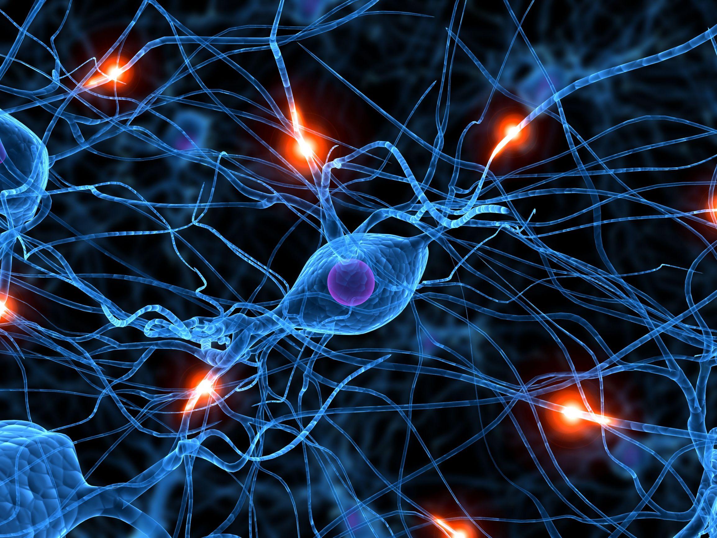 Eureka: Las neuronas del corazón Eureka: Las neuronas del corazón